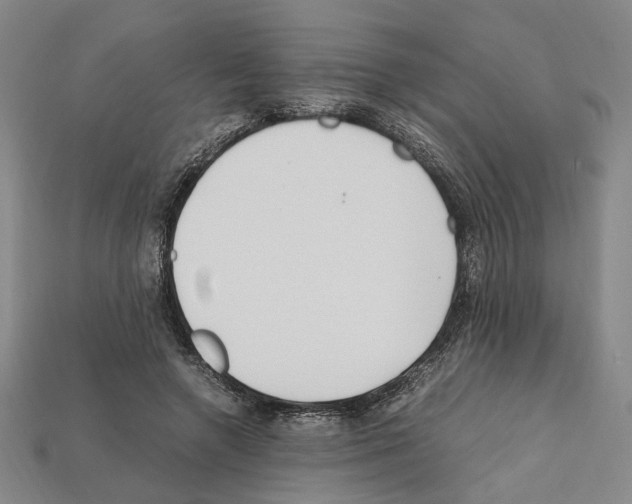X0000112210546200909181556