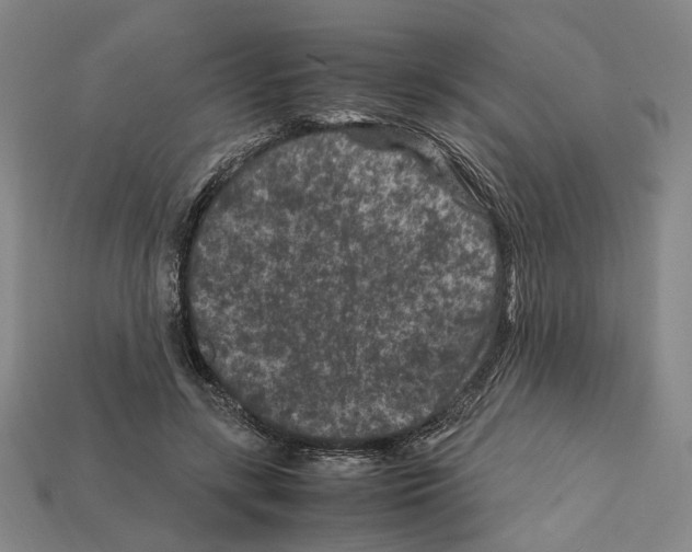 X0000112210547200909181556
