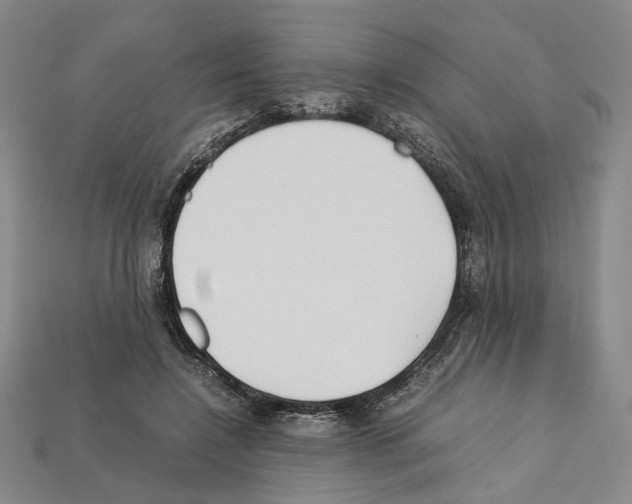 X0000112210548200909181556