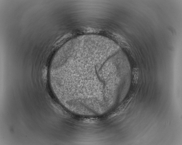 X0000112210550200909181556