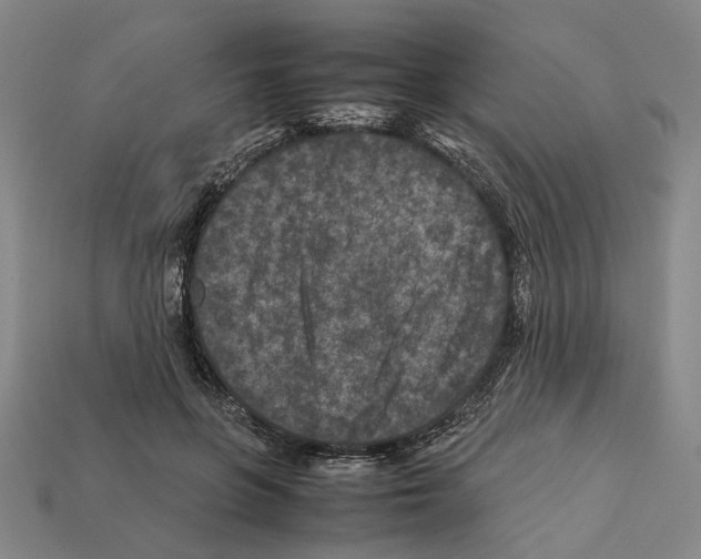 X0000112210551200909181556