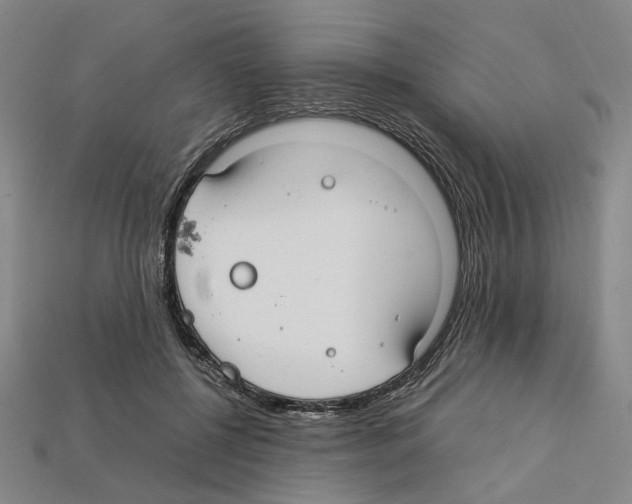 X0000112210552200909181556