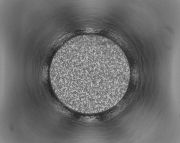 X0000112210554200909181556