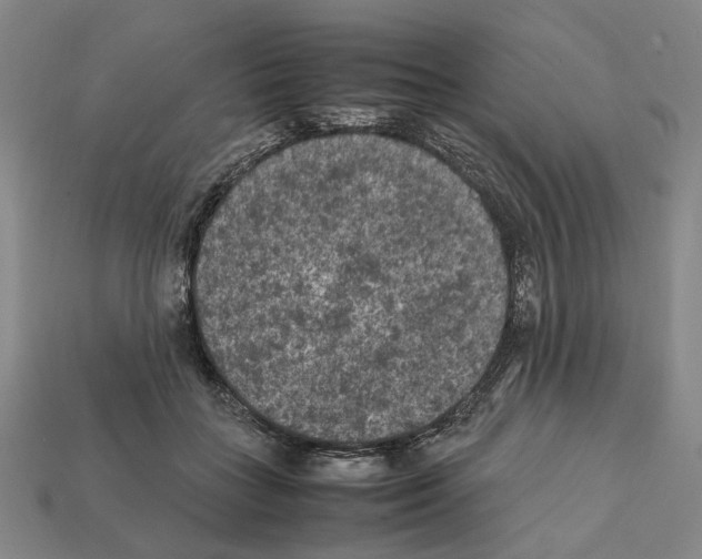 X0000112210555200909181556