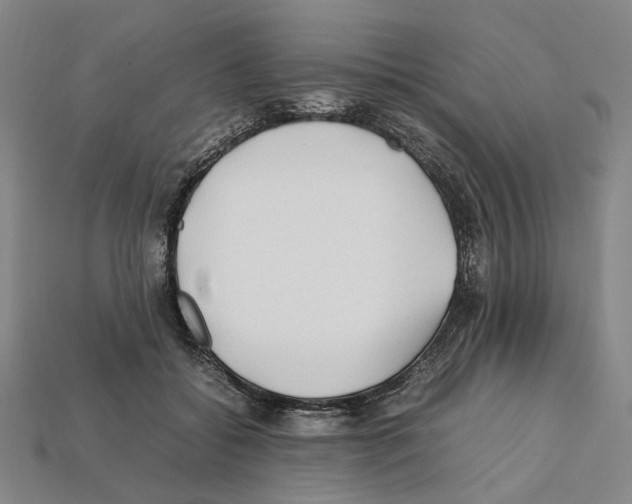 X0000112210556200909181556