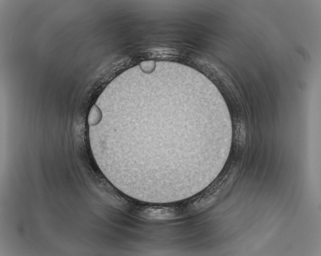 X0000112210557200909181556