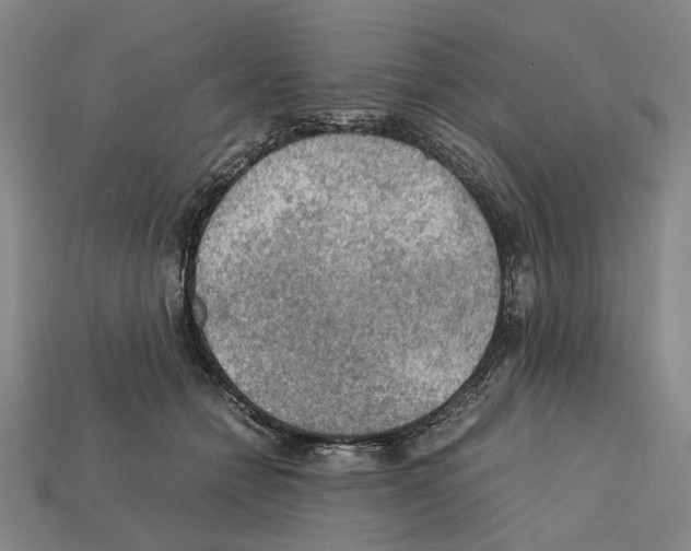 X0000112210558200909181556