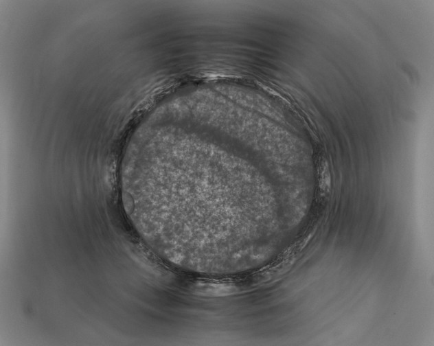 X0000112210559200909181556