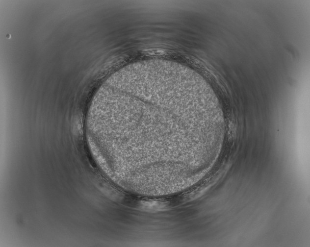 X0000112210561200909181556