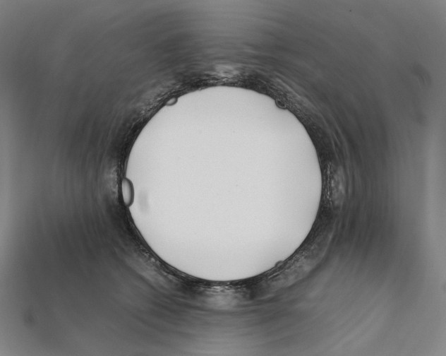 X0000112210562200909181556