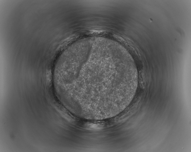 X0000112210563200909181556