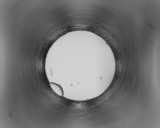 X0000112210564200909181556