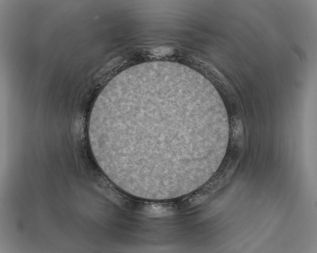 X0000112210565200909181556