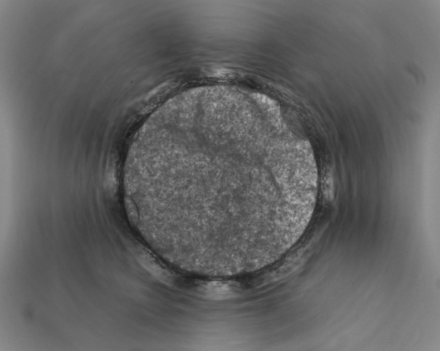 X0000112210566200909181556