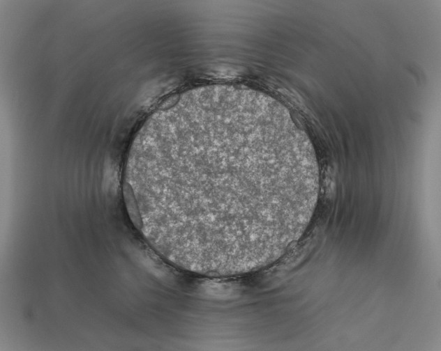 X0000112210568200909181556