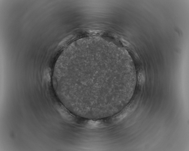 X0000112210570200909181556