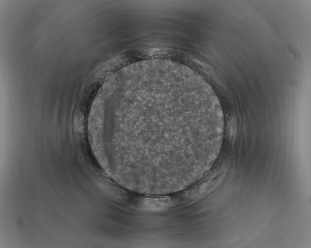 X0000112210571200909181556