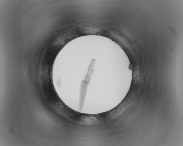 X0000112210572200909181556