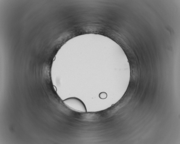 X0000112210575200909181556