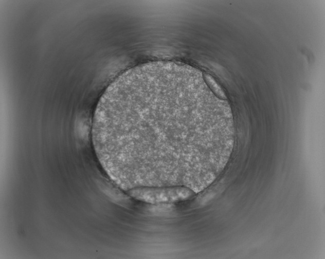 X0000112210576200909181556