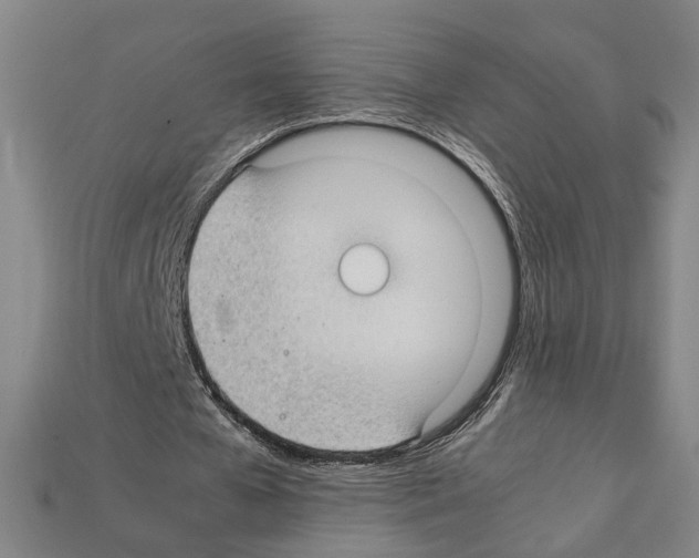 X0000112210577200909181555
