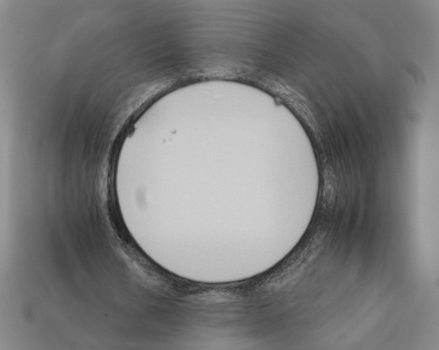 X0000112210578200909181555