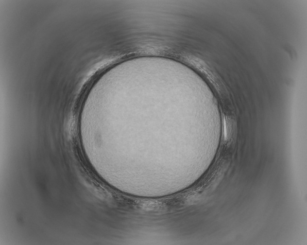 X0000112210579200909181555