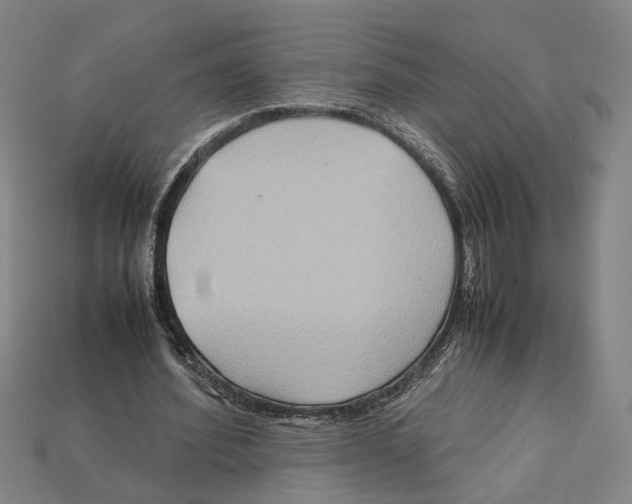 X0000112210580200909181555