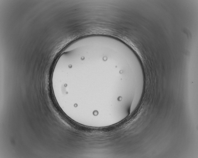 X0000112210581200909181555