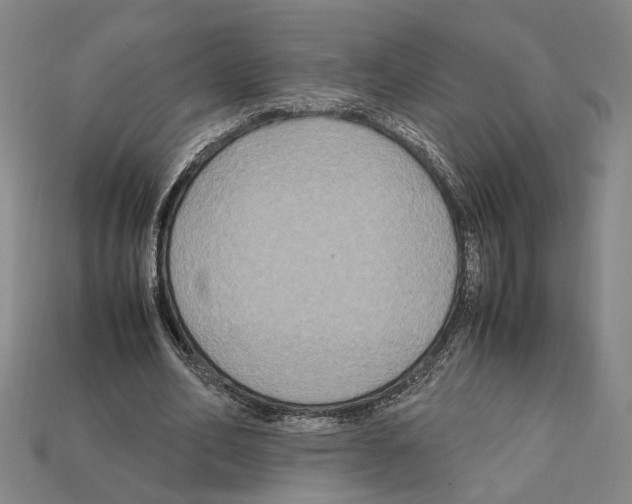 X0000112210582200909181555
