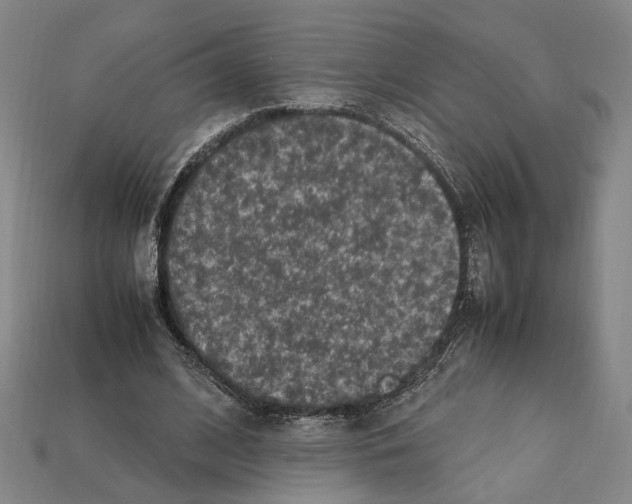 X0000112210584200909181555