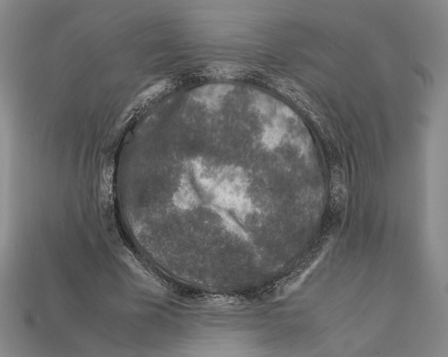 X0000112210585200909181555