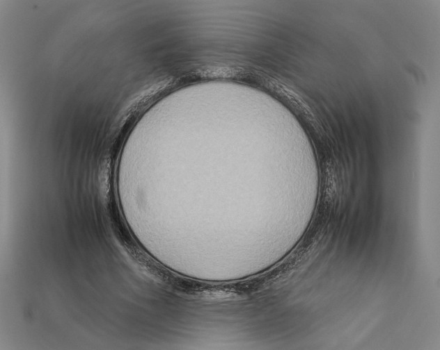 X0000112210586200909181555