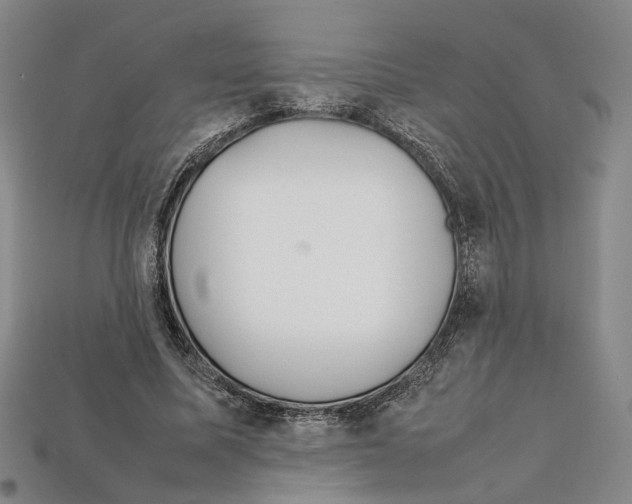 X0000112210587200909181555