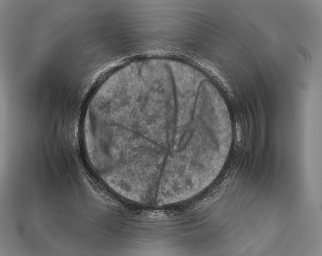 X0000112210588200909181555