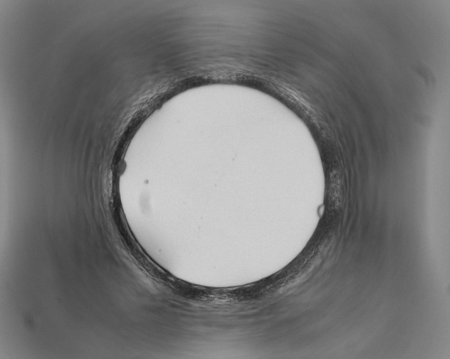 X0000112210589200909181555