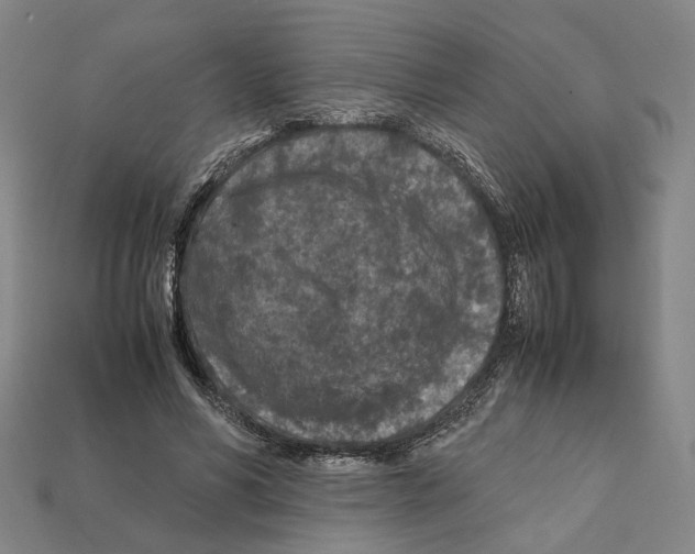 X0000112210590200909181555