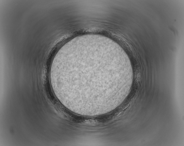 X0000112210591200909181555