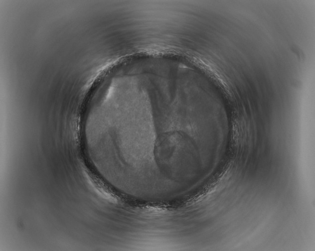 X0000112210592200909181555