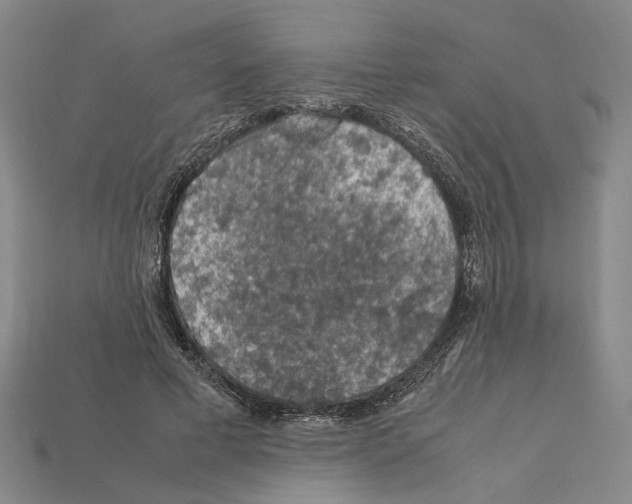 X0000112210593200909181555