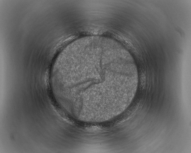 X0000112210594200909181555
