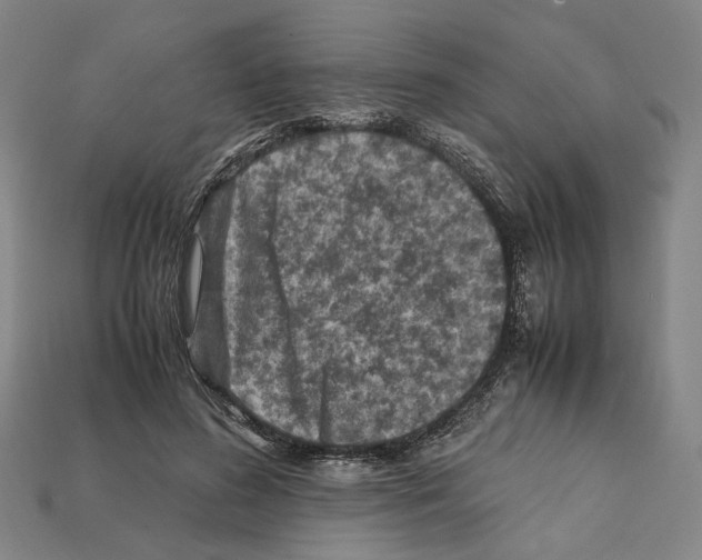 X0000112210596200909181555
