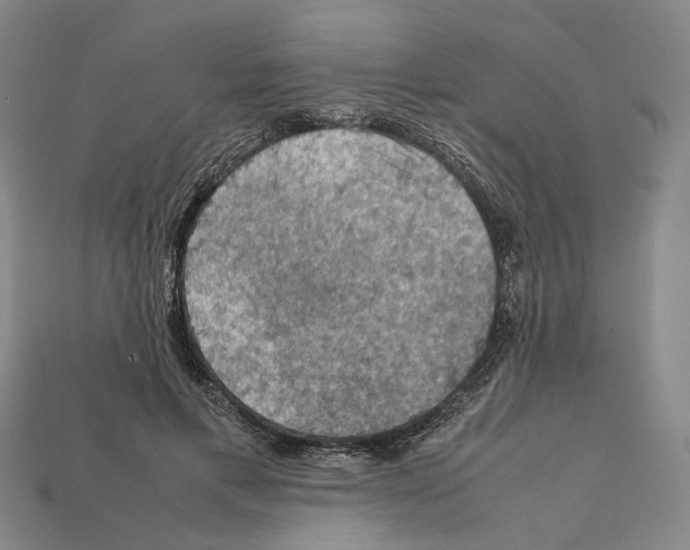 X0000112210597200909181555