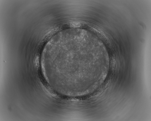 X0000112210598200909181555