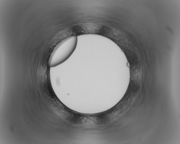 X0000112210599200909181555