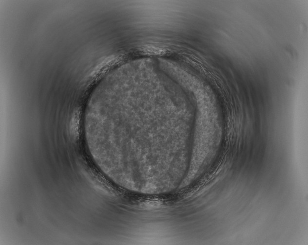 X0000112210600200909181555