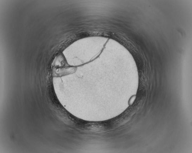 X0000112210601200909181555