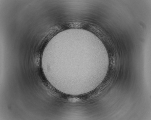 X0000112210602200909181555