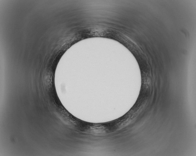 X0000112210603200909181555