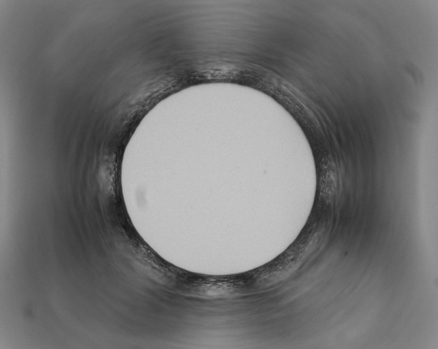 X0000112210604200909181555